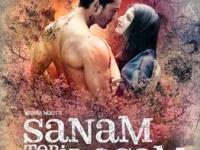 Sanam Teri Kasam Movie&nbsp;Review